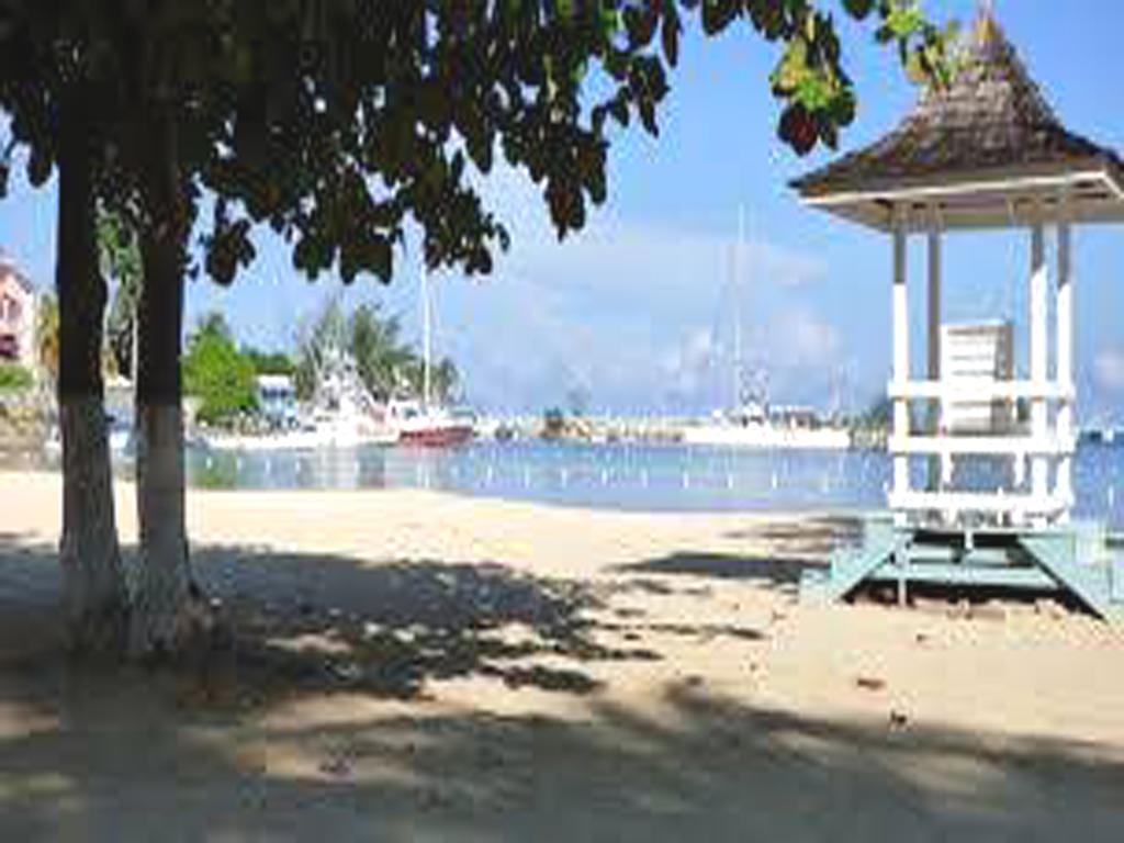 Turtle Beach Towers Apt 22 C - Ocho Rios Dış mekan fotoğraf