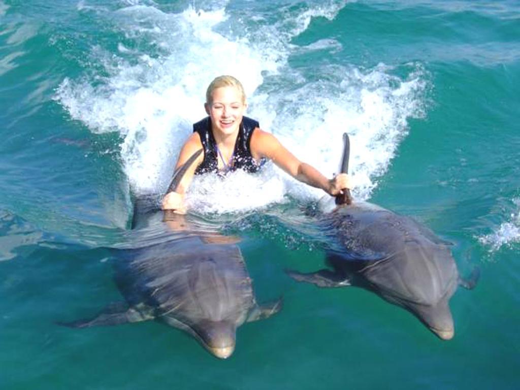 Turtle Beach Towers Apt 22 C - Ocho Rios Dış mekan fotoğraf